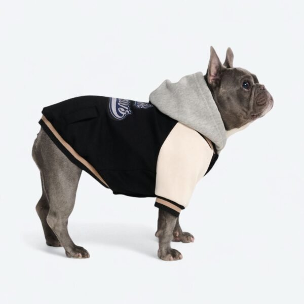 Dog Varsity Jacket - Black - Image 5