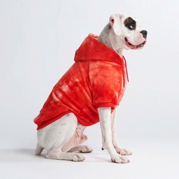 Velvet Dog Hoodie - Ruby Red - Image 6