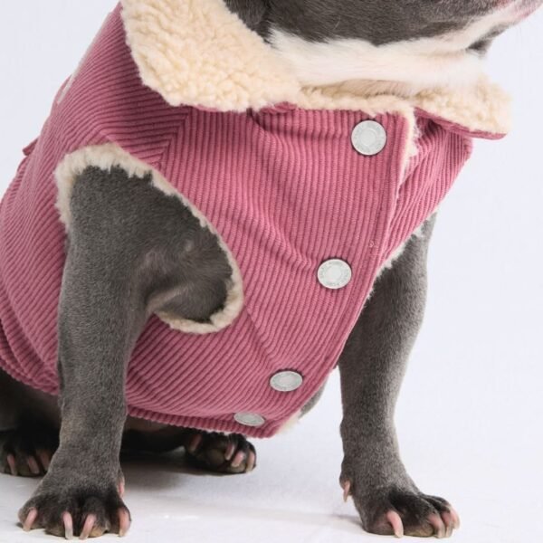 Corduroy Insulated Jacket - Pink - Image 5