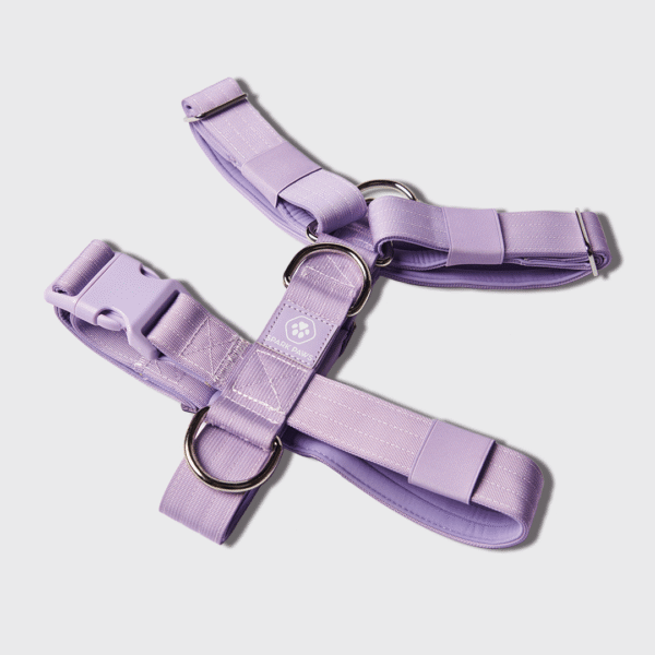 Comfort Control™ No-Pull Dog Harness - Lilac - Image 2