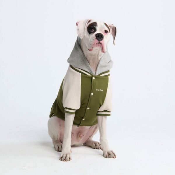 Dog Varsity Jacket - Olive - Image 4