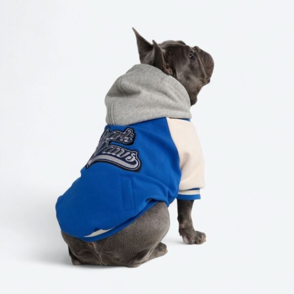 Dog Varsity Jacket - Blue - Image 3
