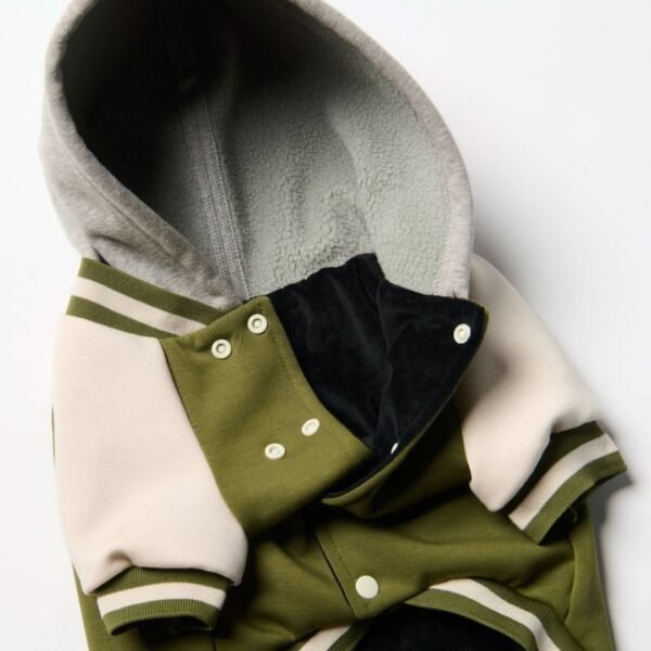 Dog Varsity Jacket - Olive - Image 6