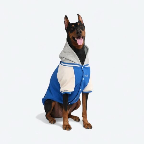 Dog Varsity Jacket - Blue - Image 4