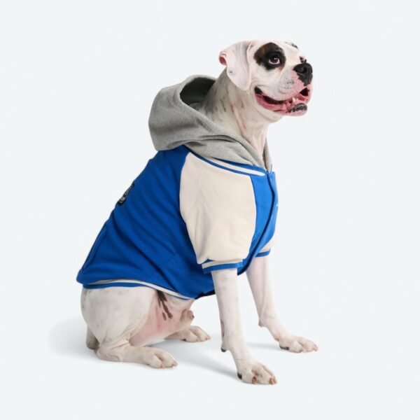 Dog Varsity Jacket - Blue - Image 8