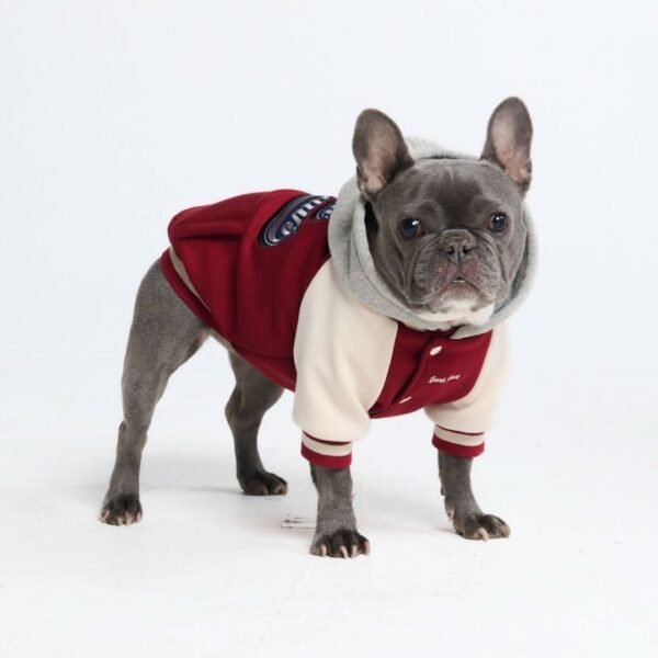 Dog Varsity Jacket - Red - Image 4