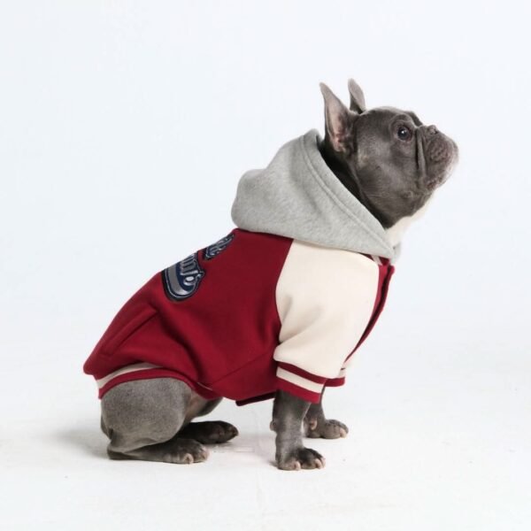 Dog Varsity Jacket - Red - Image 5