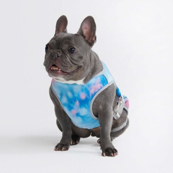 Dog Cooling Vest - Snow Cone - Image 5
