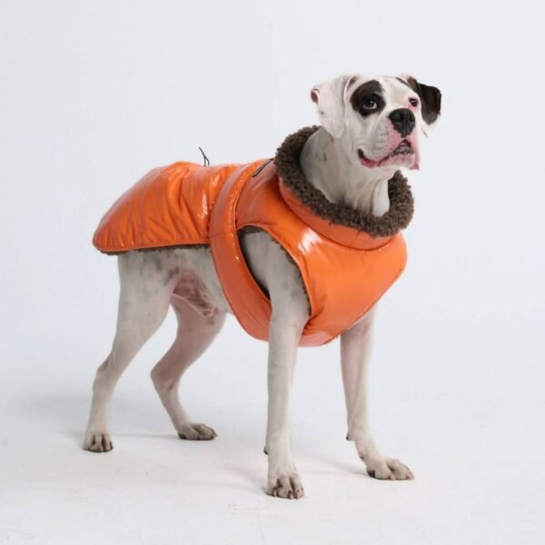 Slip-on Insulated Jacket - Orange - Image 3