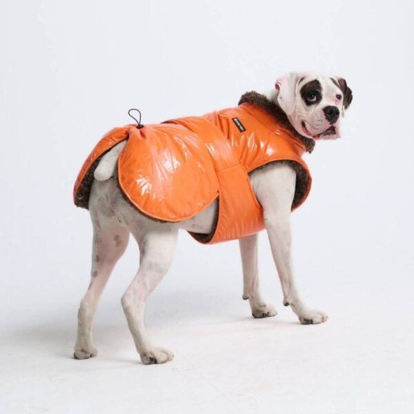 Slip-on Insulated Jacket - Orange - Image 4