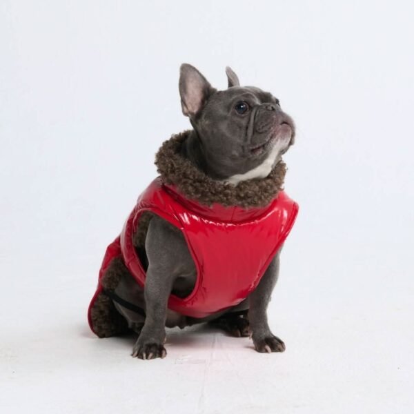 Slip-on Insulated Jacket - Red - Image 3