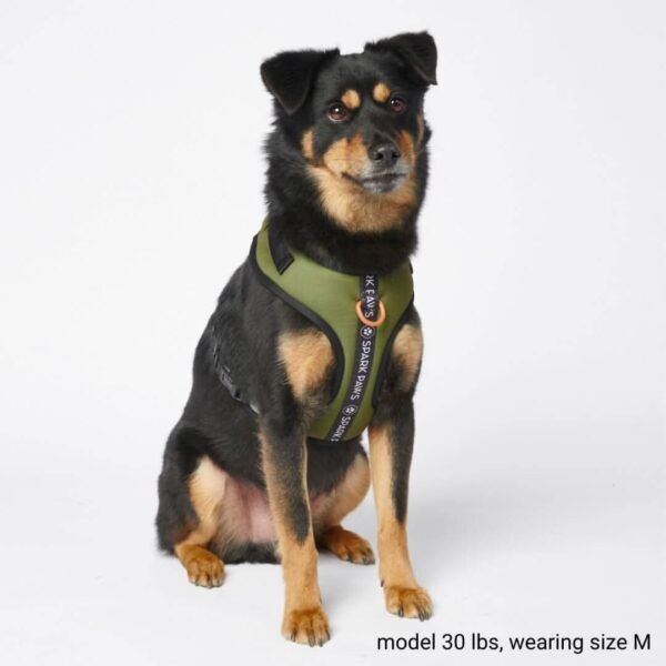 Ultra Soft Activewear Dog Harness - Green - Image 3