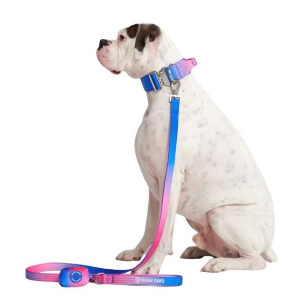 Leash and Poop Bag Holder Set - Snow Cone - Image 2