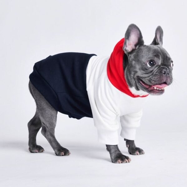 Red, White, Navy Dog Hoodie (SIZE L) - Image 4