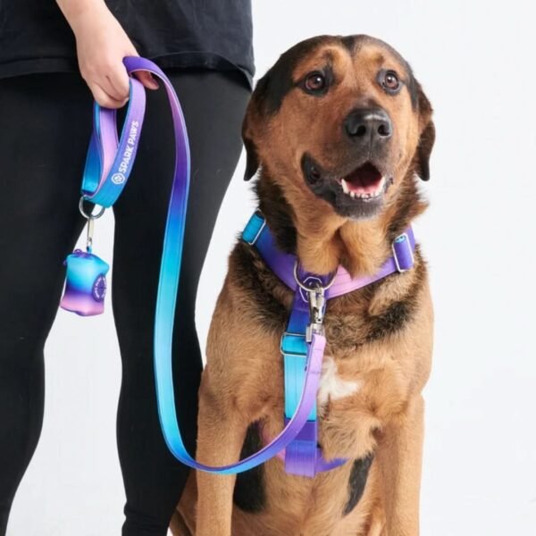Leash and Poop Bag Holder Set - 90s Retro - Image 2