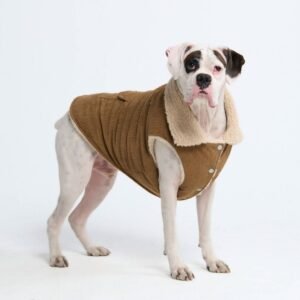Corduroy Insulated Jacket - Brown