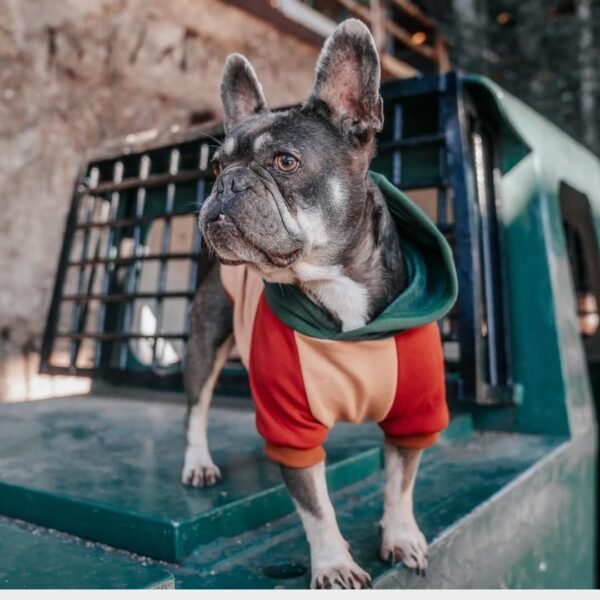 Ranger Dog Hoodie - Image 2
