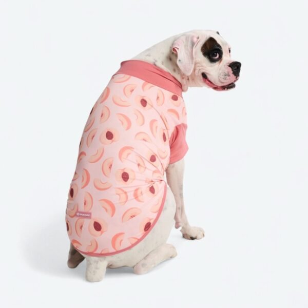 Sunblock Shirt - Peaches - Image 3