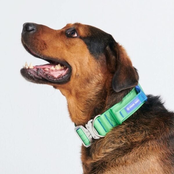 Comfort Control Collar - Lime Wave - Image 3