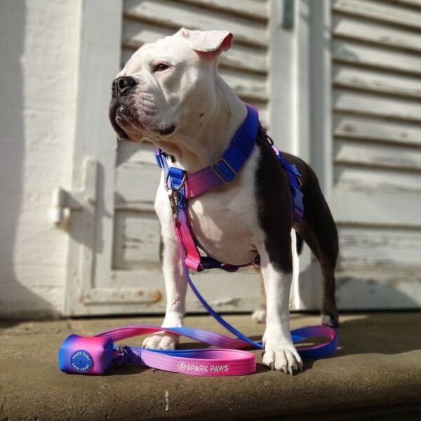 Leash and Poop Bag Holder Set - Snow Cone - Image 3