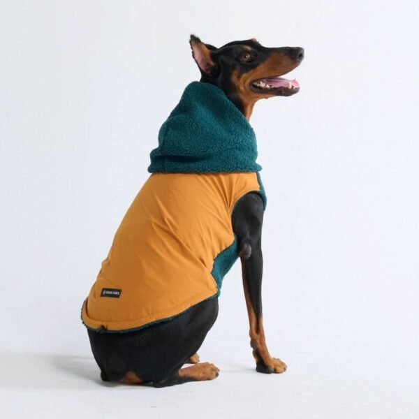 Reversible Jacket - Green and Orange - Image 6