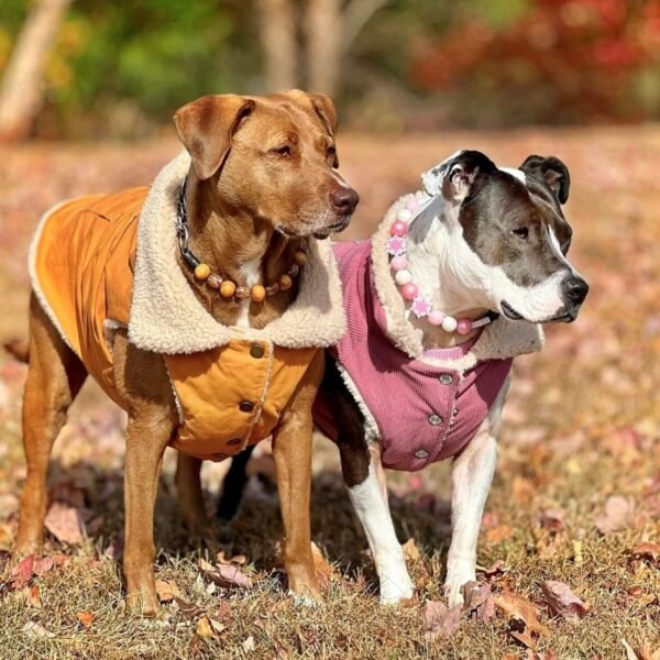 Workdog Insulated Utility Jacket - Brown - Image 9