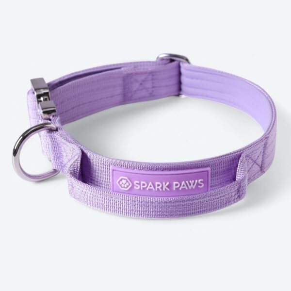 Comfort Control Collar Set - Lilac - Image 14
