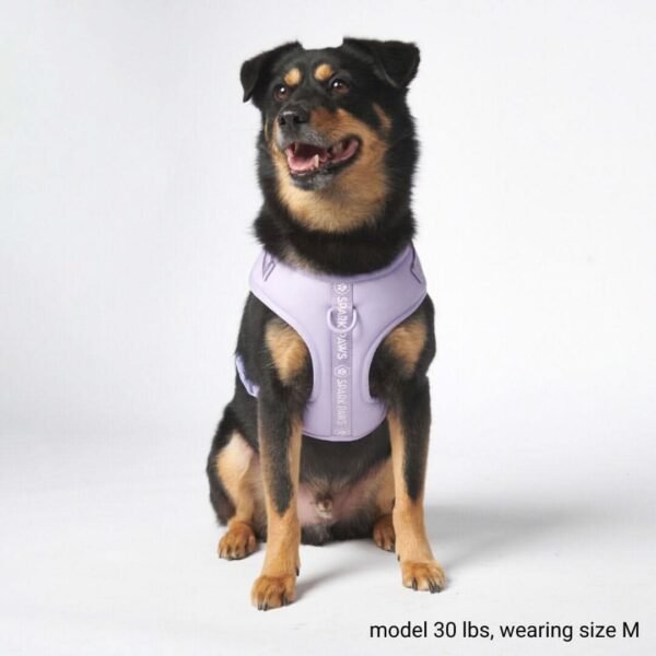 Ultra-Soft Activewear Harness - Lilac - Image 7