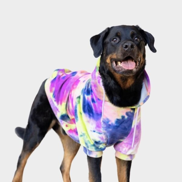 Velvet Dog Hoodie - Berry Lemonade - Image 8