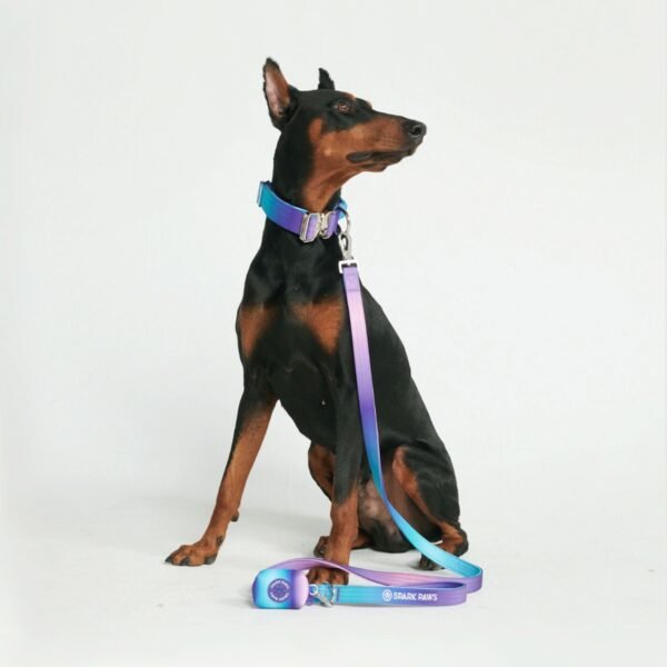 Leash and Poop Bag Holder Set - 90s Retro - Image 3