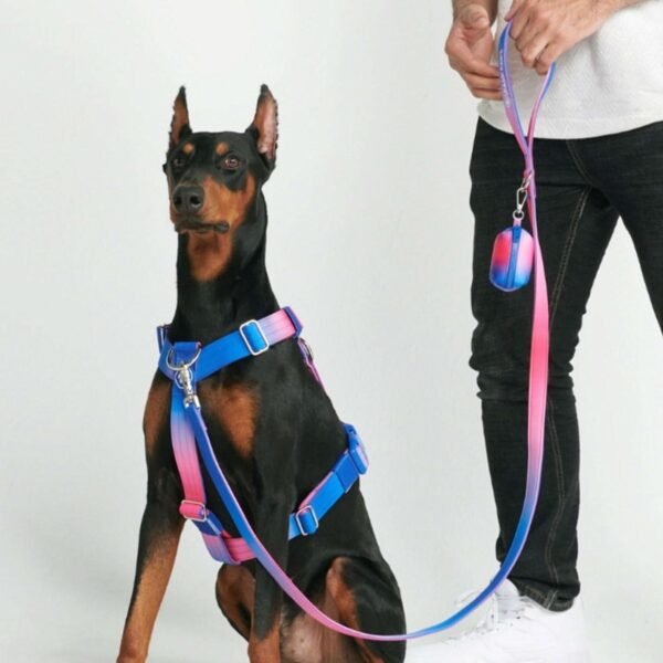 Leash and Poop Bag Holder Set - Snow Cone - Image 4