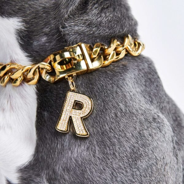 Initial Letter Jewelry Tag - R - Image 3