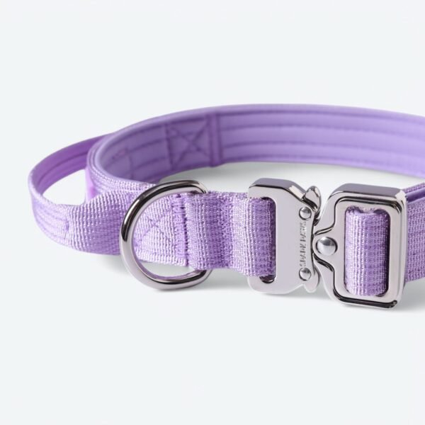 Comfort Control Collar Set - Lilac - Image 15