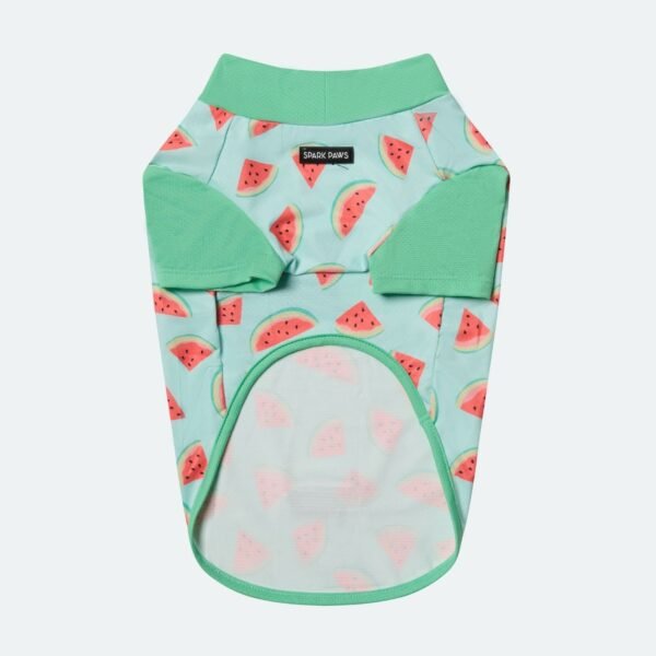 Sunblock Shirt - Watermelon - Image 2