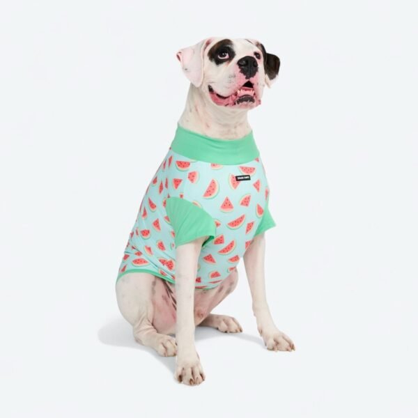 Sunblock Shirt - Watermelon - Image 3