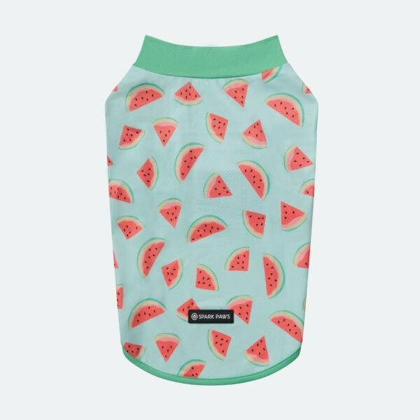 Sunblock Shirt - Watermelon - Image 4
