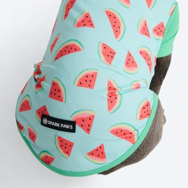 Sunblock Shirt - Watermelon - Image 6