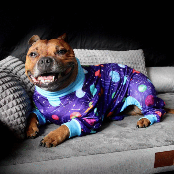 Dog Pajama - Planets - Image 5
