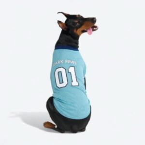 Football Mesh Jersey - Blue