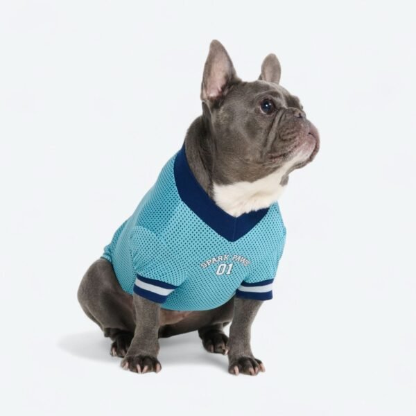 Football Mesh Jersey - Blue - Image 3