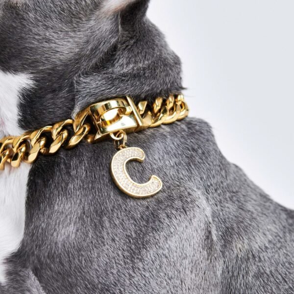Initial Letter Jewelry Tag - C - Image 3