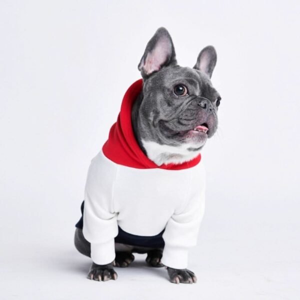 Red, White, Navy Dog Hoodie (SIZE L) - Image 6