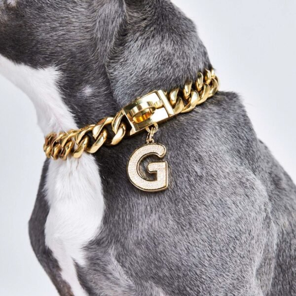 Initial Letter Jewelry Tag - G - Image 3