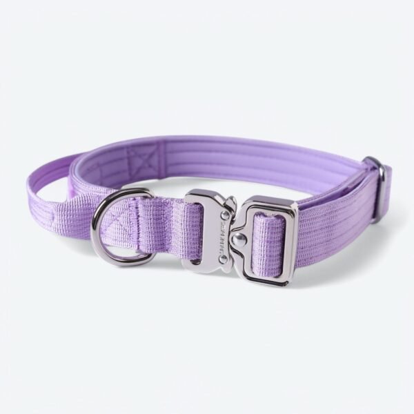 Comfort Control Collar Set - Lilac - Image 16