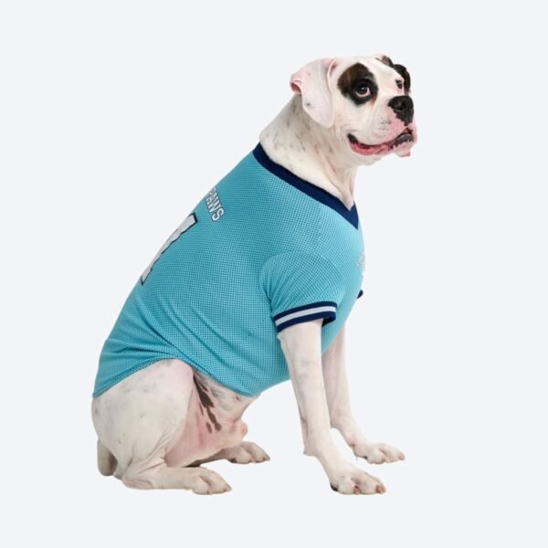 Football Mesh Jersey - Blue - Image 5