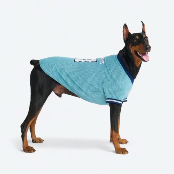 Football Mesh Jersey - Blue - Image 6