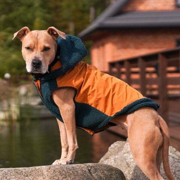 Reversible Jacket - Green and Orange - Image 2
