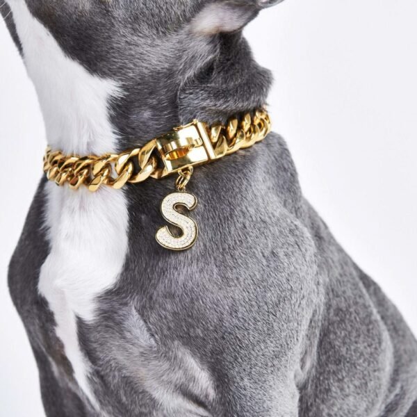 Initial Letter Jewelry Tag - S - Image 3