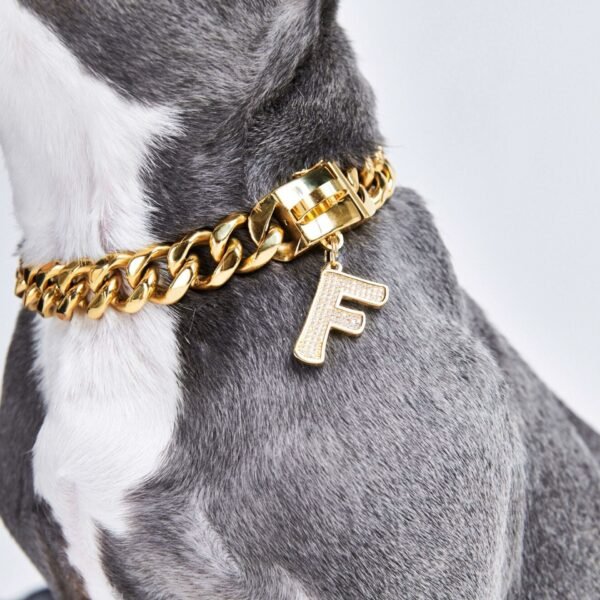 Initial Letter Jewelry Tag - F - Image 3