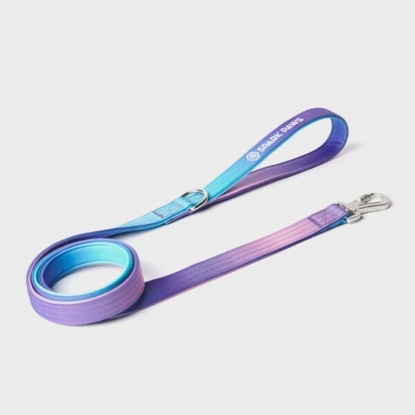 Leash and Poop Bag Holder Set - 90s Retro - Image 5
